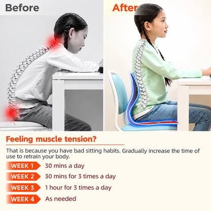 Comfort Posture Correction Chair Seat – Ergonomic Back & Lumbar Support Cushion